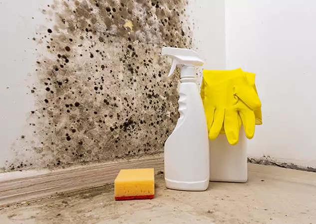 Your Reliable Restoration Company in Overland Park, KS
